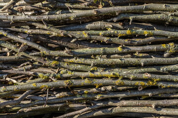 Big pile of firewood piled up randomly. Background Texture