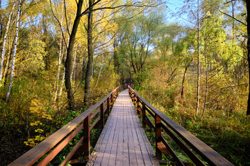 Autumn landscape in the park. The visitor walkway is designed as a wooden deck with handrails.