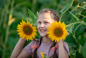 Girl in a field of sunflowers. A girl plays in a sunflower field on a sunny summer day. Blooming sunflower, summer vacation, nature