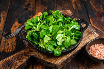 Fresh Raw green lambs lettuce Corn salad leaves in a pan. Dark wooden background. Top view