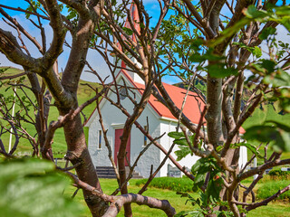 Islandia, paisajes verdes e iglesias