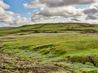 Fototapeta premium Islandia, paisajes verdes e iglesias