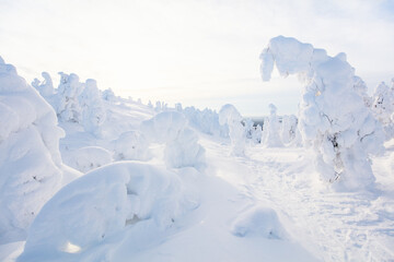 Fototapeta na wymiar Majestic winter in Finland