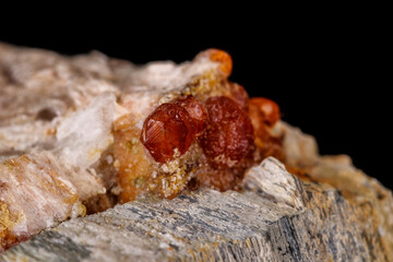 macro mineral stone Grossular, Garnet, Epidote on a black background