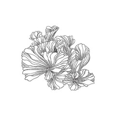 Coral reef element or seaweed in monochrome sketch style, vector illustration isolated on white background.