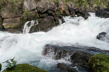 Fototapeta premium Blue Waikato River, New Zealand