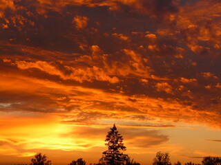 sunset over the field