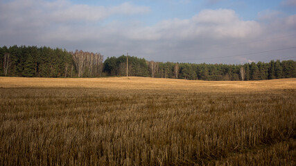 Suburbs of Grodno. Belarus. Autumn landscape: a mown field with a bright streak of sun, a forest in the distance and a blue sky with gray clouds.