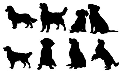 Golden Retriever Silhouettes SVG Golden Retriever SVG