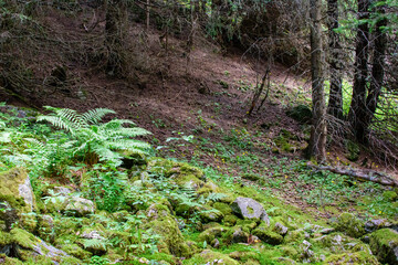 belle montagne à Courchevel en France