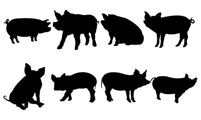 Pig Silhouette SVG Pig Vector SVG