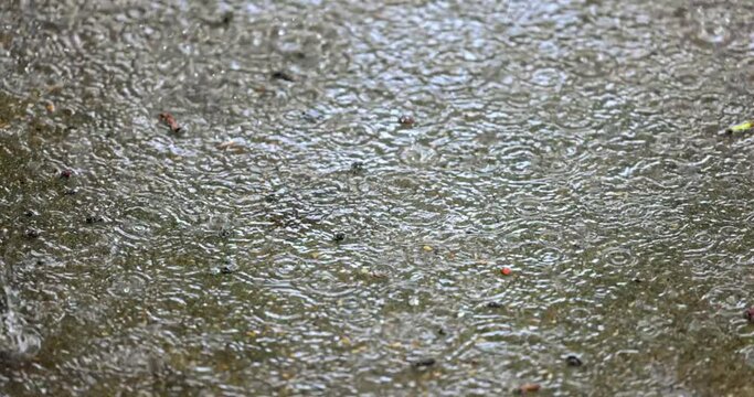 Rain hitting puddle of mud on the ground