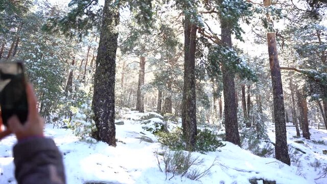 Person on a snowed forest taking a photo with the phone