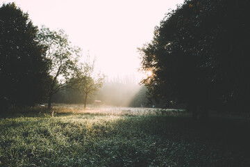 Herbstmorgen im Park