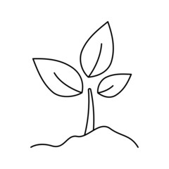 Tree plant gardening icon vector