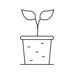 Natural tree plant in pot icon