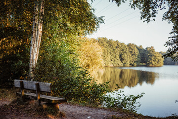 Morgens im Park