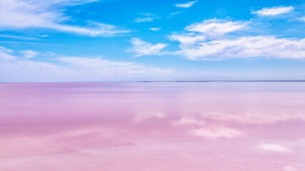 Obraz premium The pink water. Algae that grows in high levels of salt. Pink lake in Kherson region, Ukraine.