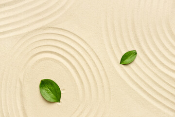 Green leaves on light sand. Zen concept