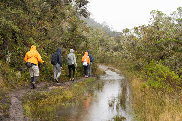 Fototapeta na wymiar Hike to Paramo de Guacheneque, birthplace of the Bogota River. End of the hike in the rain at Villapinzón, Cundinamarca, Colombia