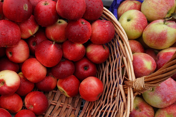 Red apples in baskets at the autumn food market close up