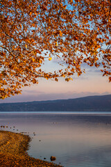 Seeufer Radolfzell am sch&ouml;nen Bodensee im Herbst 