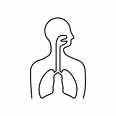 Respiratory system symbol. Human body with lungs, nose and mouth line icon