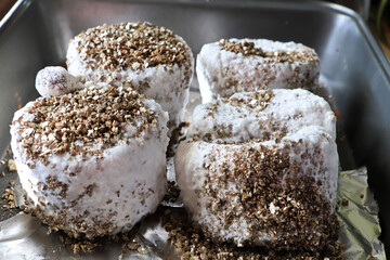 Vermiculite rice cakes full of mycelium ready to fruit