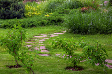 rough ornamental stone path paved in green backyard lawn, curved backyard walkway landscaping with bushes, nobody.