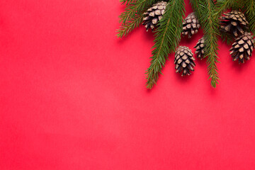 Christmas, winter, new year concept, top view, copy space. Red background with Christmas tree branch