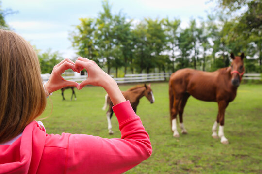 A woman makes heart with her hands and shows horses