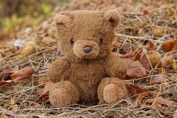 one brown plush toy bear stands on gray vegetation and fallen leaves in nature