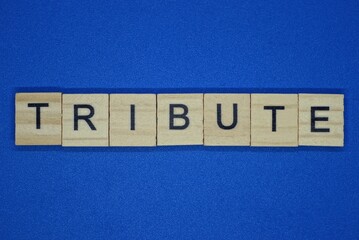 gray word tribute in small wooden letters on a blue background