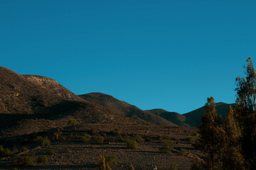 Fototapeta premium Desert 