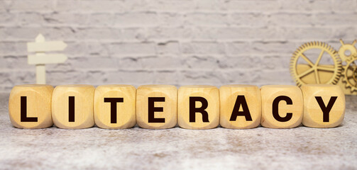 LITERACY word made with building blocks, concept