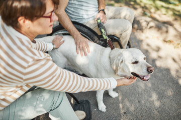 High angle of adult couple in wheelchairs petting dog in park outdoors, copy space