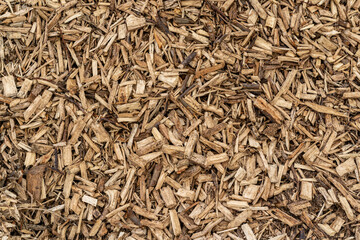 Pile of wood chips and slivers - obrazy, fototapety, plakaty