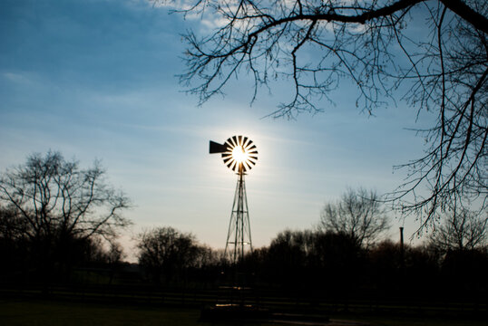 Silhouette of trees and aermotor windmill against a sunset sky