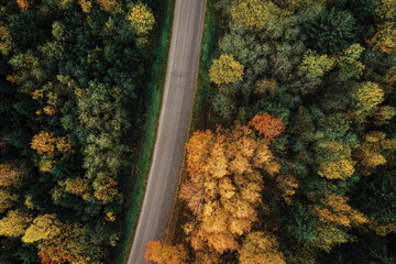 Aerial view of the road passing through the colorful autumn forest