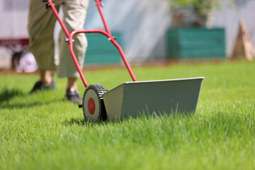 ダックスフンドと庭
