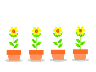tulips in pots, sunflower vector illustration