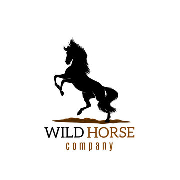 Vector graphic illustration of a simple and elegant wild horse logo design