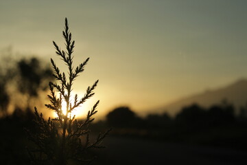 Obraz premium sunrise in the mountains