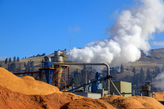 Lumber Industry Wood Pellet Biofuel Mill