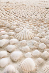 A wall lined and decorated with natural seashells.