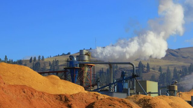 Lumber Industry Wood Pellet Biofuel Mill