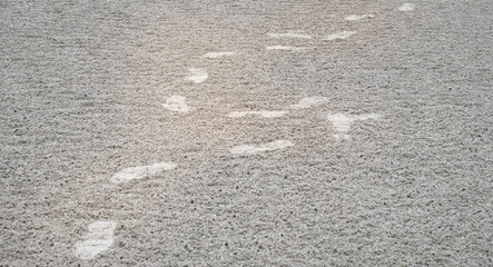 Human footprints in yellow beach sand from walking with copy space.