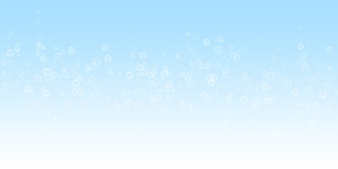 Soap bubbles abstract background. Blowing bubbles