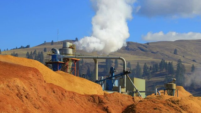 Lumber Industry Wood Pellet Biofuel Mill