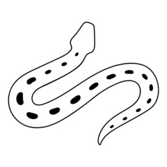 Snake in doodle style, single, linear image of a wriggling serpent, contour icon